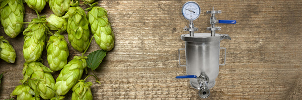 The Art of Dry Hopping: Unveiling the Magic and Benefits of a Dry Hop ...