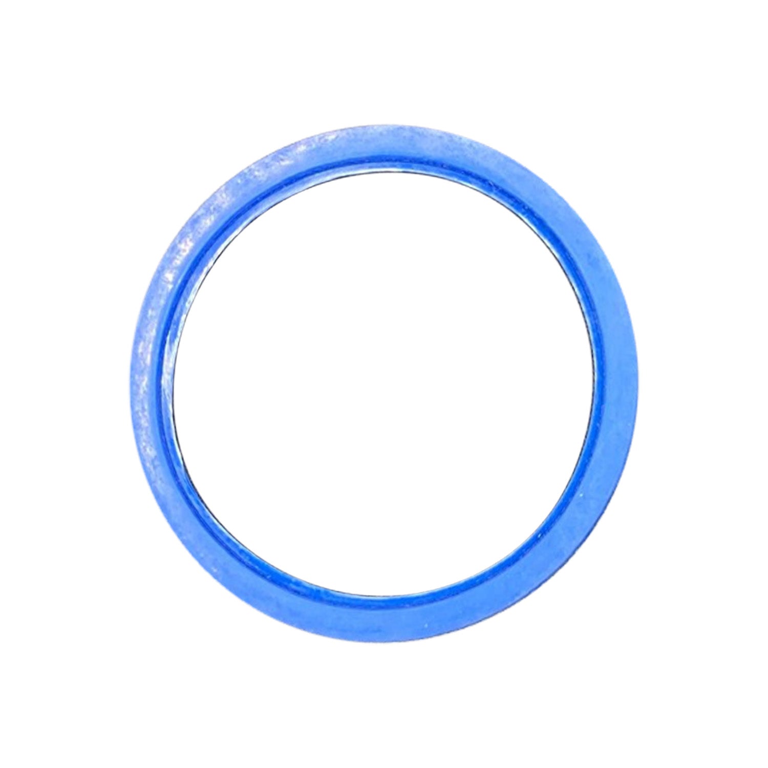 DIN Gasket for 2" Y Filter