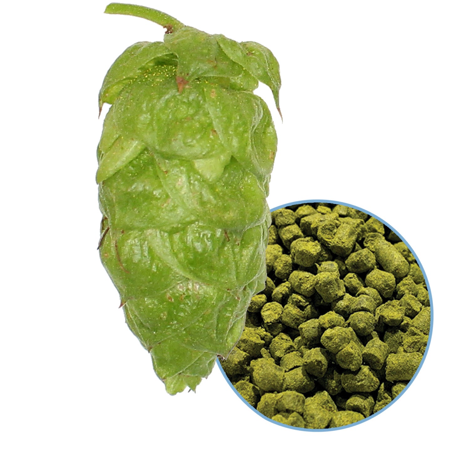Apollo Hop Pellets