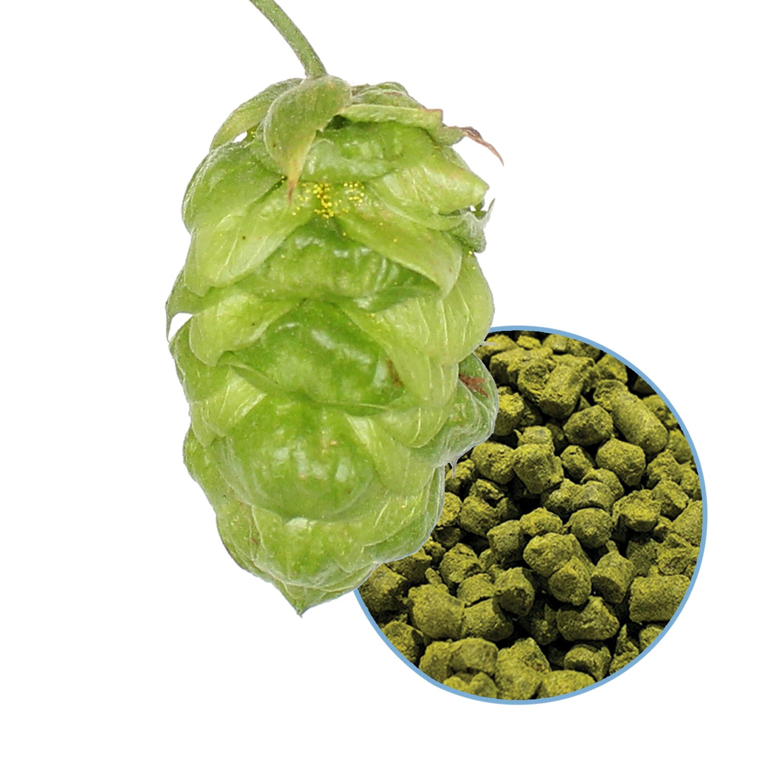 Eureka! Hop Pellets