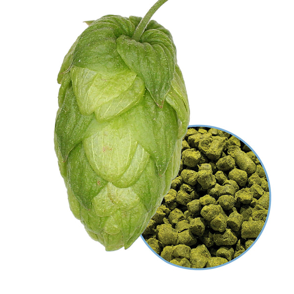 Solero Hop Pellets | 11 lbs - Deutsche Beverage Parts
