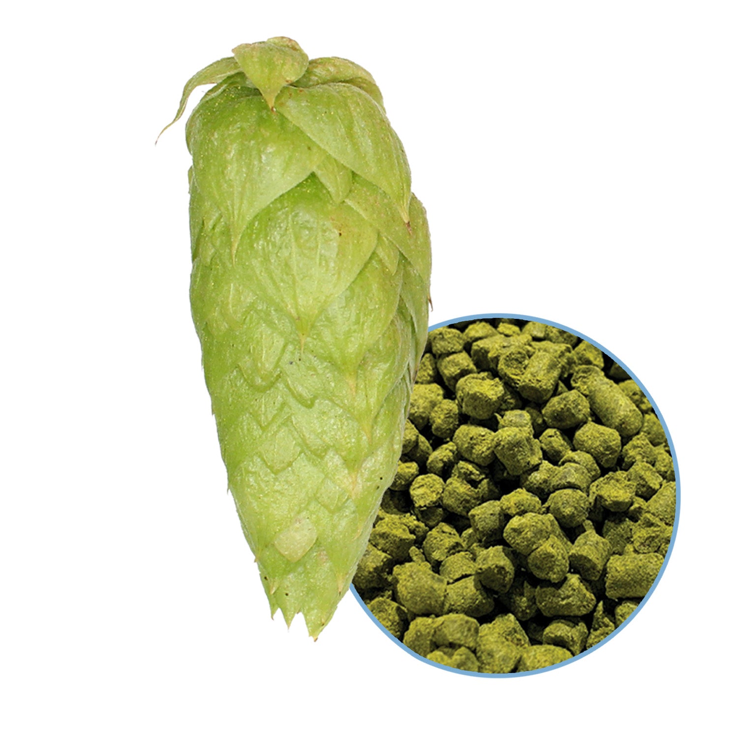 Sultana Hop Pellets