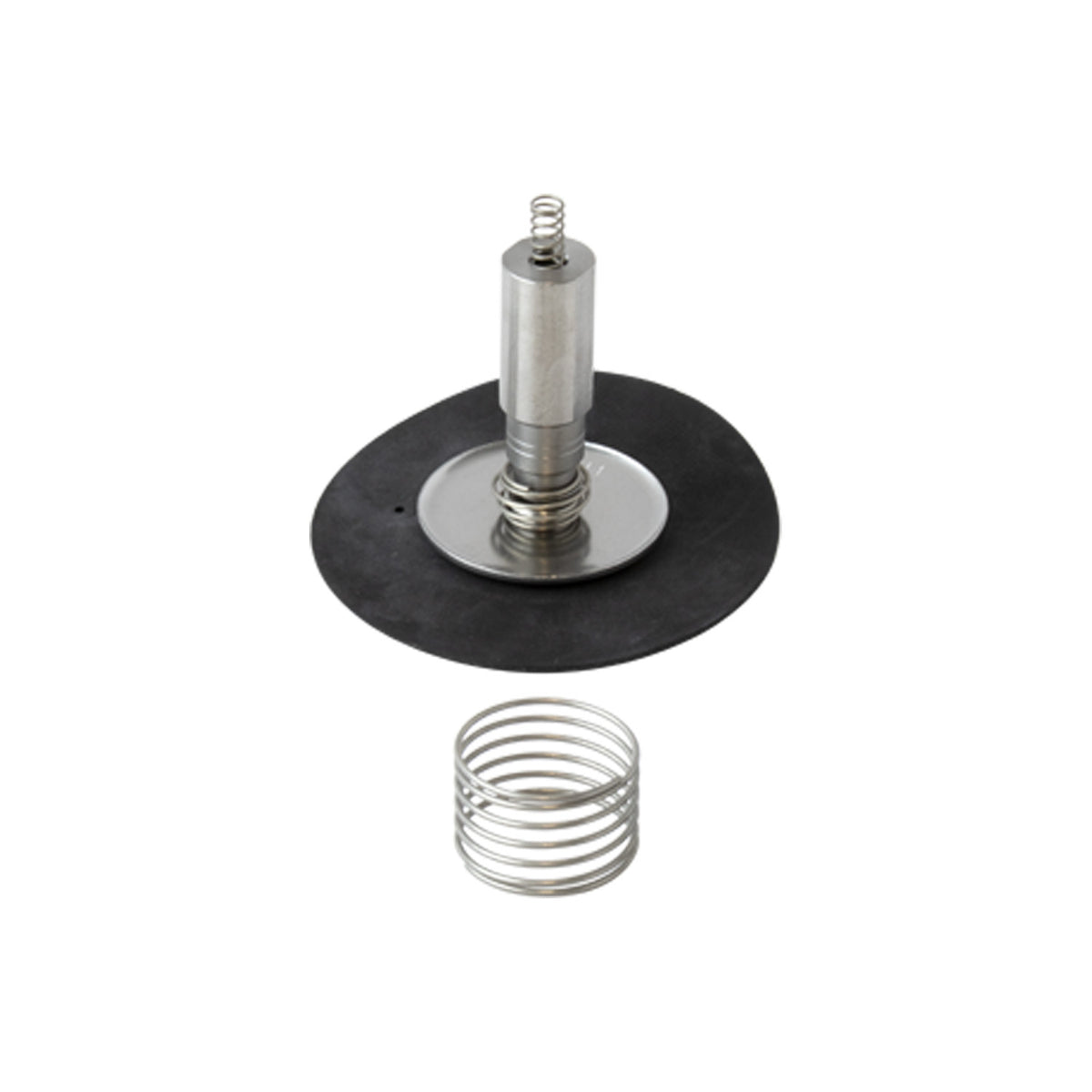 Repair Kit for Series H -00V Steam Solenoid Valves (1&quot;)