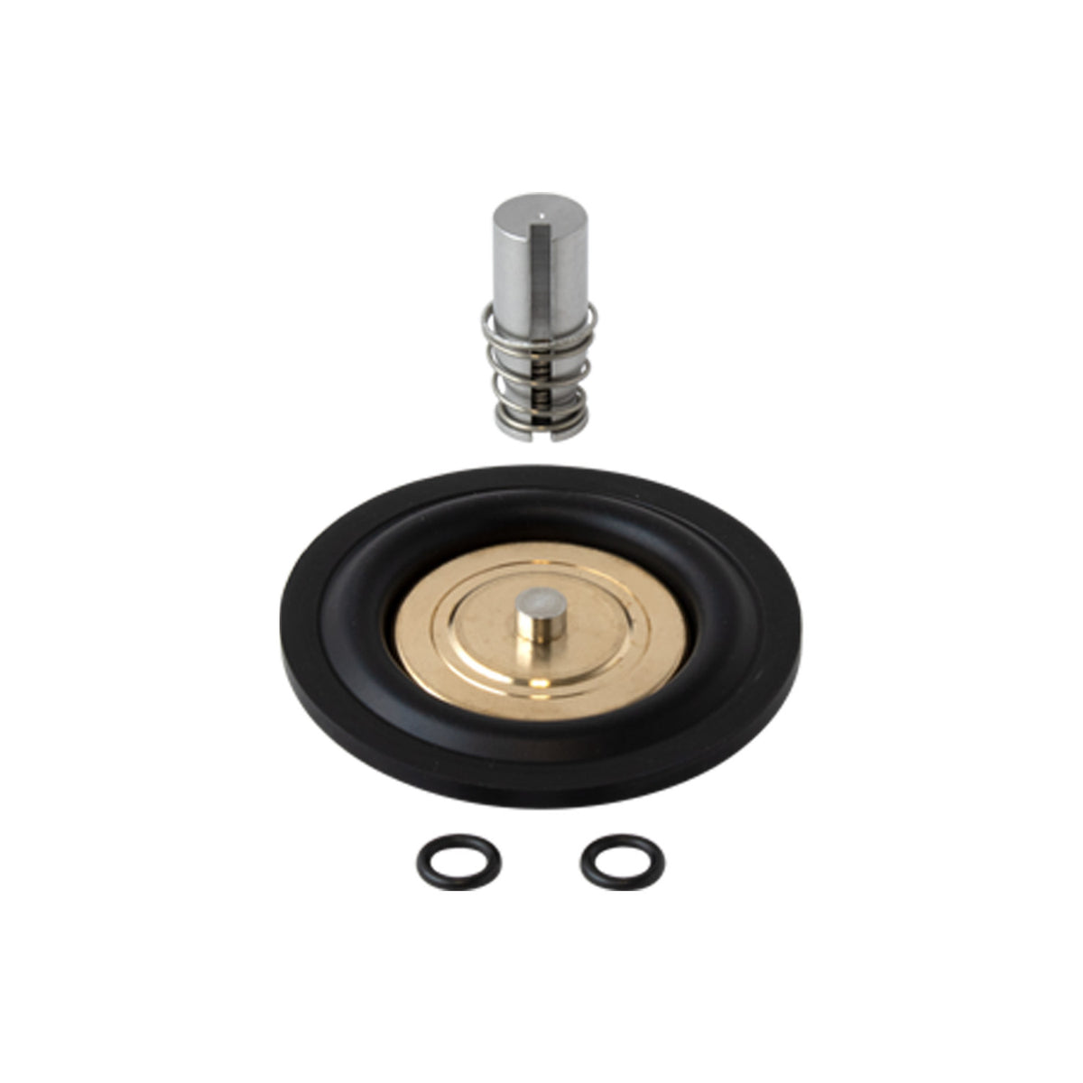Repair Kit for Series W -00E Steam Solenoid Valves (3/4&quot;-1&quot;)