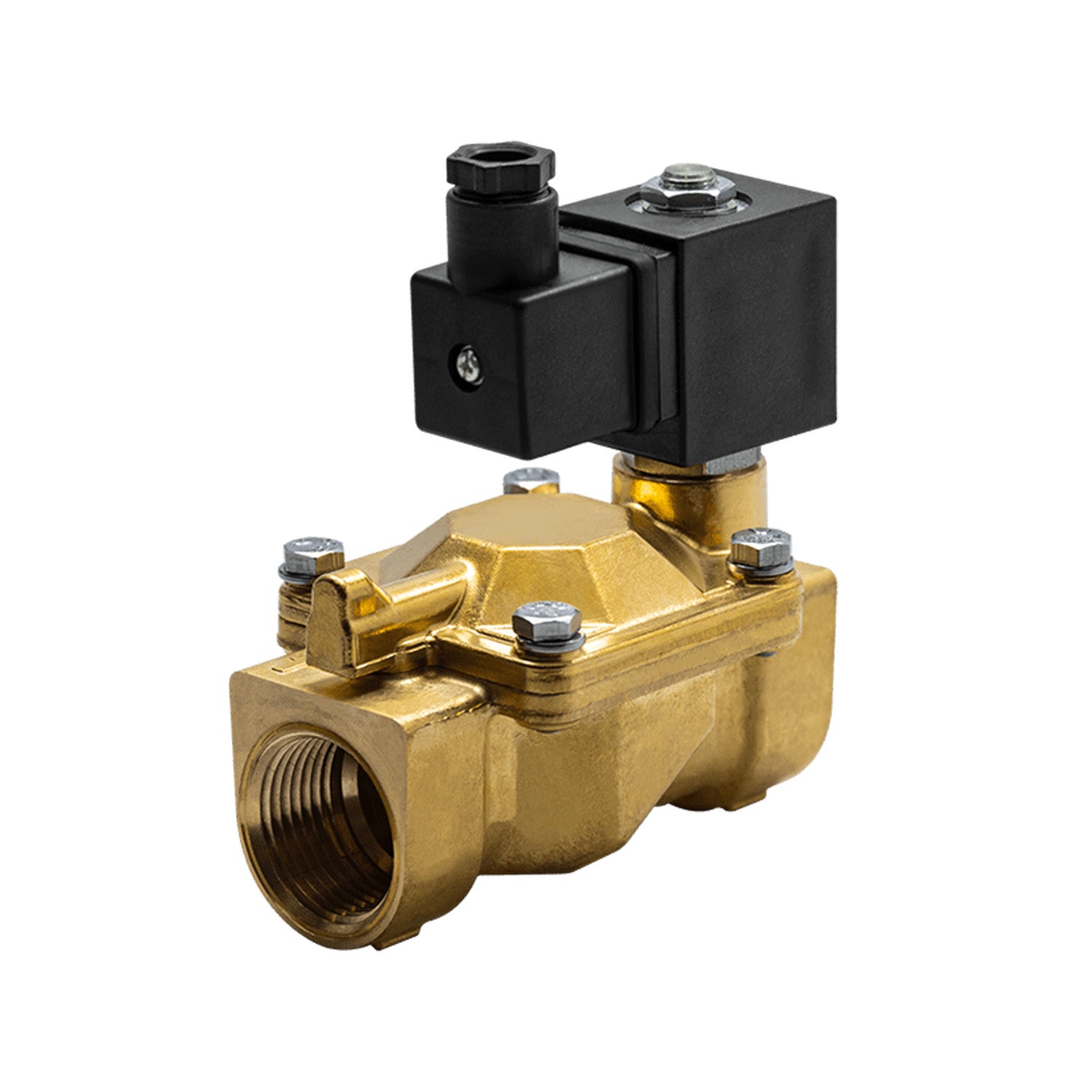1.25" Steam Solenoid Valve (120V)